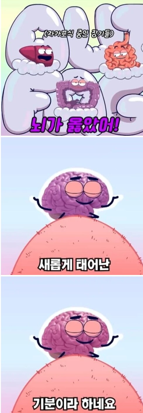 36시간 단식이 몸에 좋은 이유_16.png
