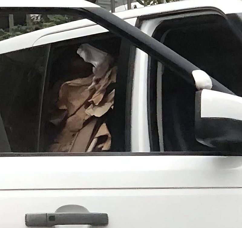 강남의 폐지줍는 차량 수준...._4.jpg