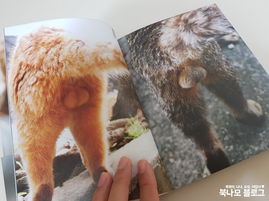 일본에서 발매된 고환 사진집_6.jpg
