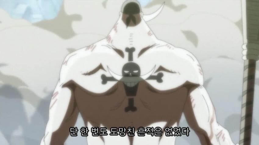 원피스 애초에 도망 안쳤다 한적이 없었음_1.jpg