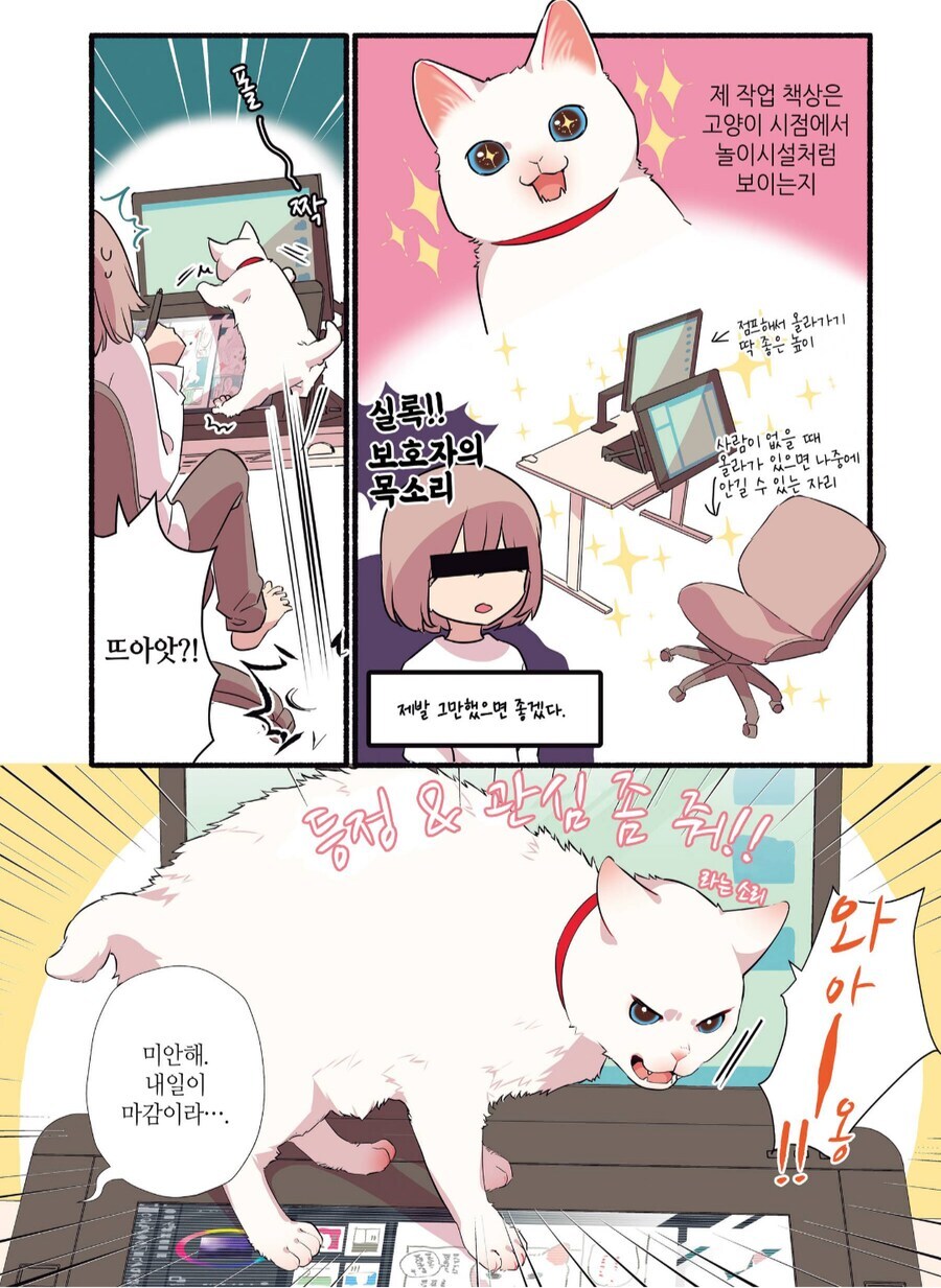 고양이 키우면 조심해야 하는것_1.jpg