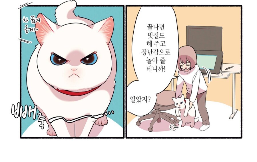 고양이 키우면 조심해야 하는것_2.jpg