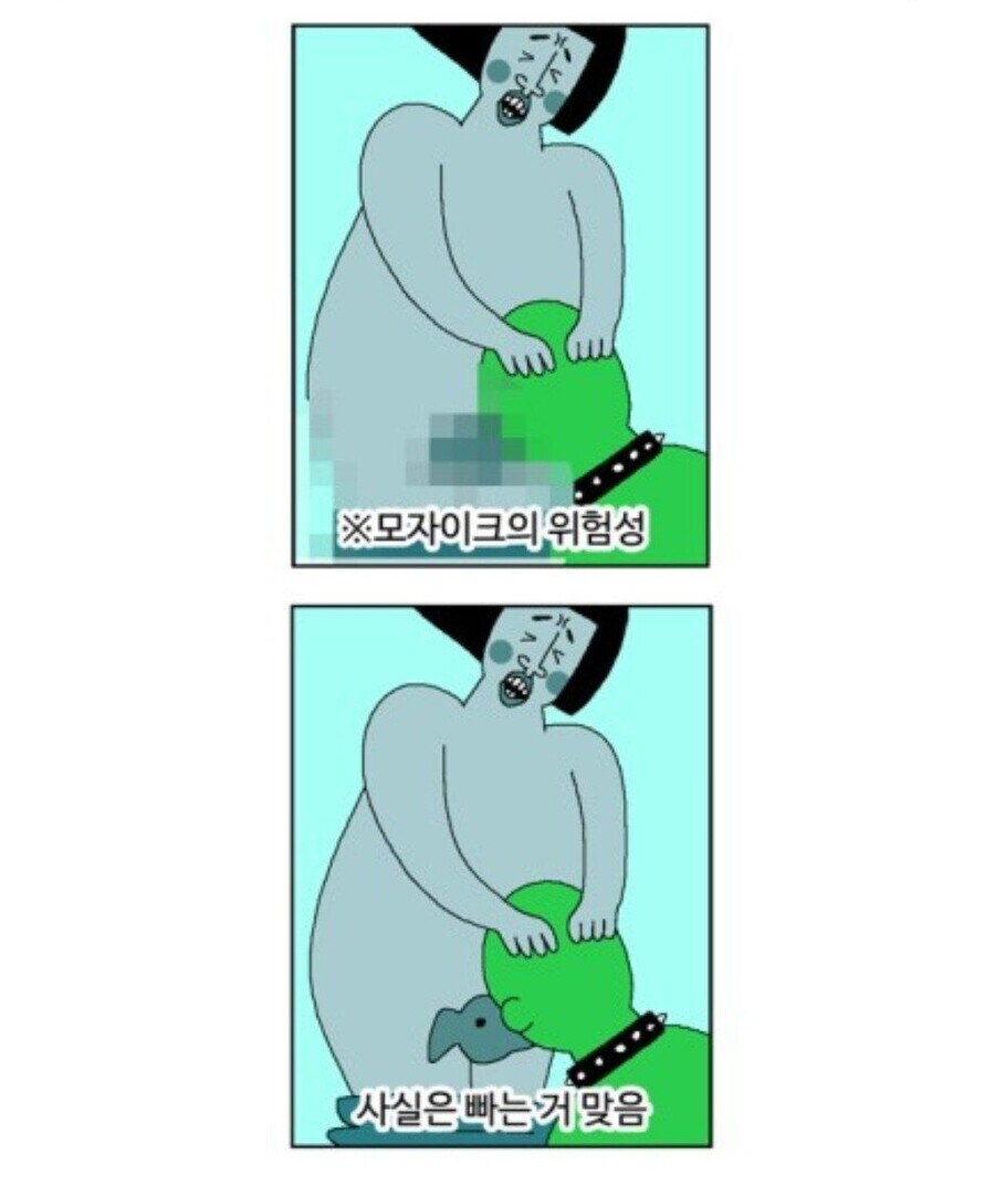 모자이크의 위험성_5.jpg
