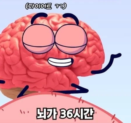 36시간 단식이 몸에 좋은 이유_1.webp