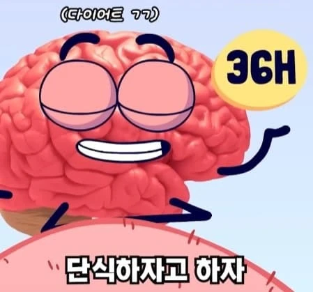 36시간 단식이 몸에 좋은 이유_2.webp