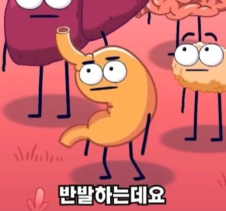 36시간 단식이 몸에 좋은 이유_6.webp