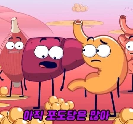 36시간 단식이 몸에 좋은 이유_10.webp