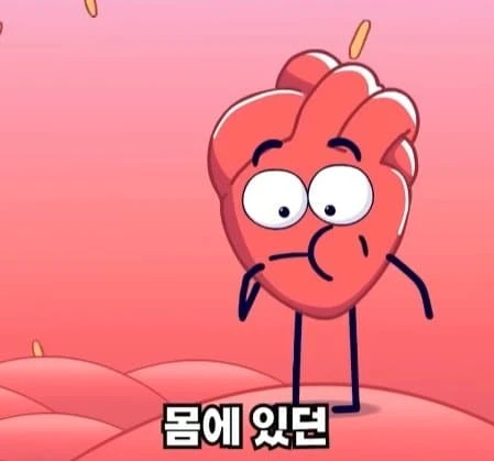36시간 단식이 몸에 좋은 이유_12.webp