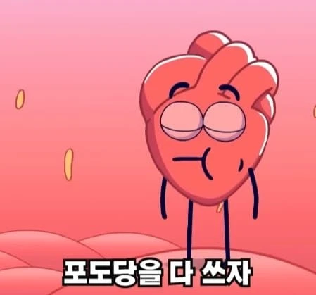 36시간 단식이 몸에 좋은 이유_13.webp