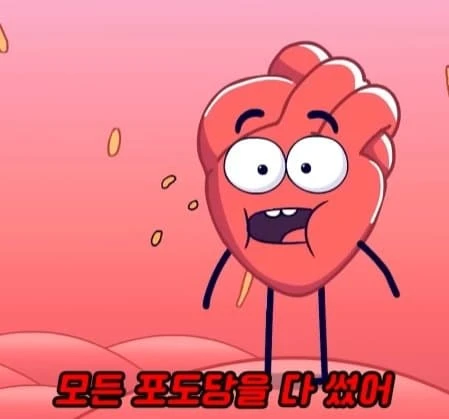 36시간 단식이 몸에 좋은 이유_14.webp