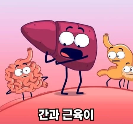 36시간 단식이 몸에 좋은 이유_18.webp