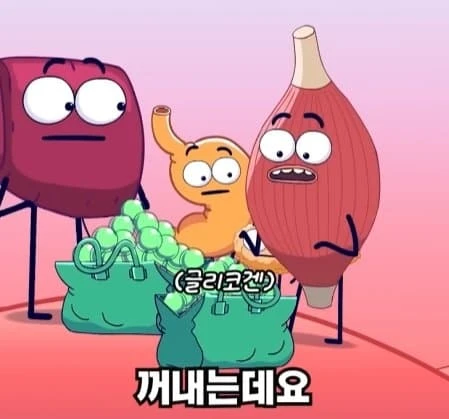 36시간 단식이 몸에 좋은 이유_21.webp
