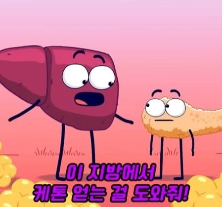 36시간 단식이 몸에 좋은 이유_27.webp