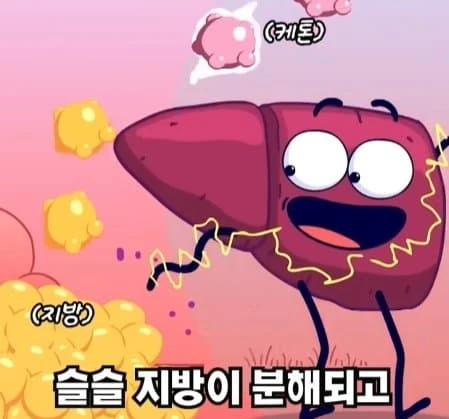 36시간 단식이 몸에 좋은 이유_28.webp