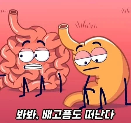 36시간 단식이 몸에 좋은 이유_29.webp