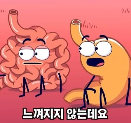 36시간 단식이 몸에 좋은 이유_31.webp