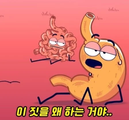 36시간 단식이 몸에 좋은 이유_32.webp