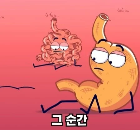 36시간 단식이 몸에 좋은 이유_34.webp