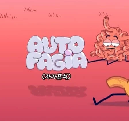 36시간 단식이 몸에 좋은 이유_35.webp