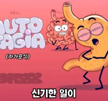 36시간 단식이 몸에 좋은 이유_36.webp