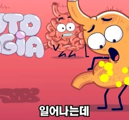 36시간 단식이 몸에 좋은 이유_37.webp