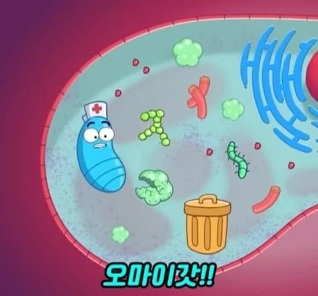 36시간 단식이 몸에 좋은 이유_38.webp