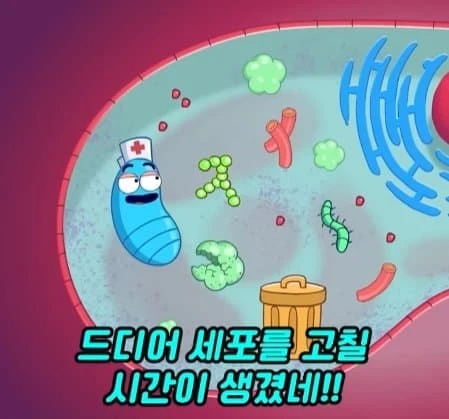 36시간 단식이 몸에 좋은 이유_39.webp