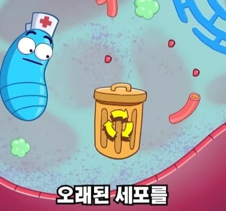 36시간 단식이 몸에 좋은 이유_41.webp