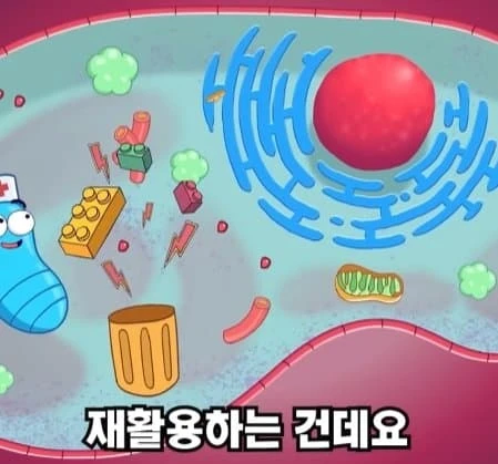36시간 단식이 몸에 좋은 이유_42.webp