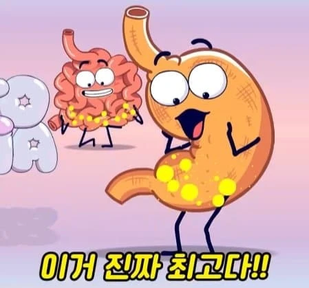 36시간 단식이 몸에 좋은 이유_43.webp