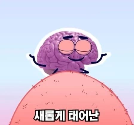 36시간 단식이 몸에 좋은 이유_47.webp