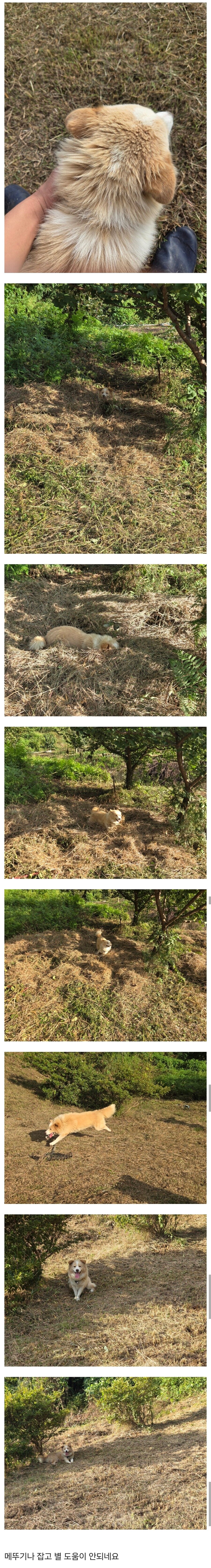 벌초하는 데 부하 데려간 사람_2.jpg