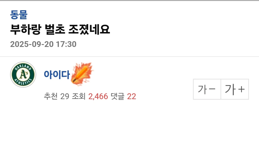 벌초하는 데 부하 데려간 사람_1.webp