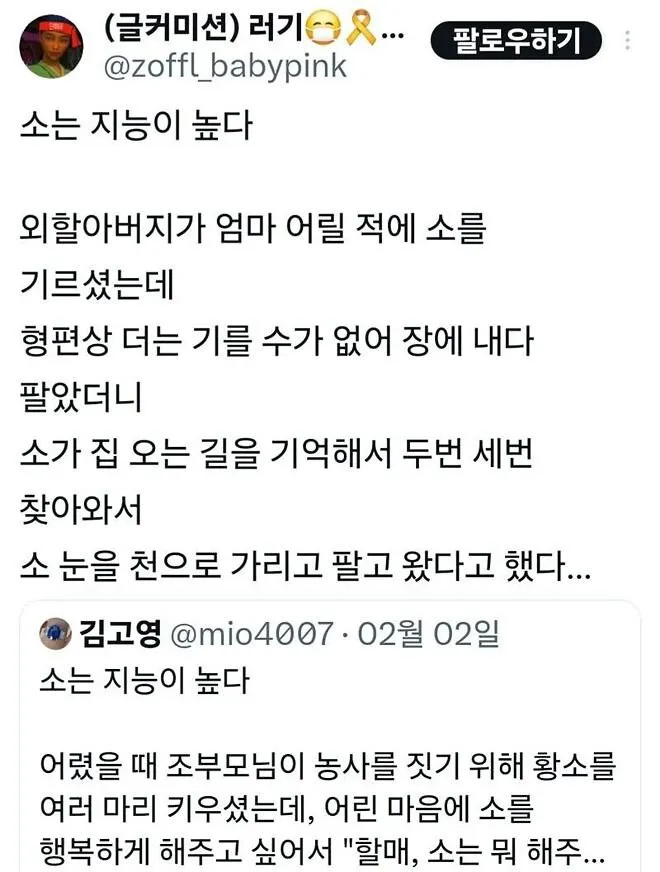 생각보다 지능이 높은 동물_2.webp