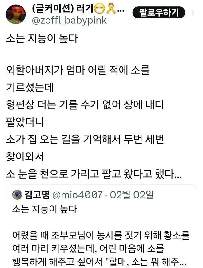 소를 팔아서 부자가 되는 법_1.webp