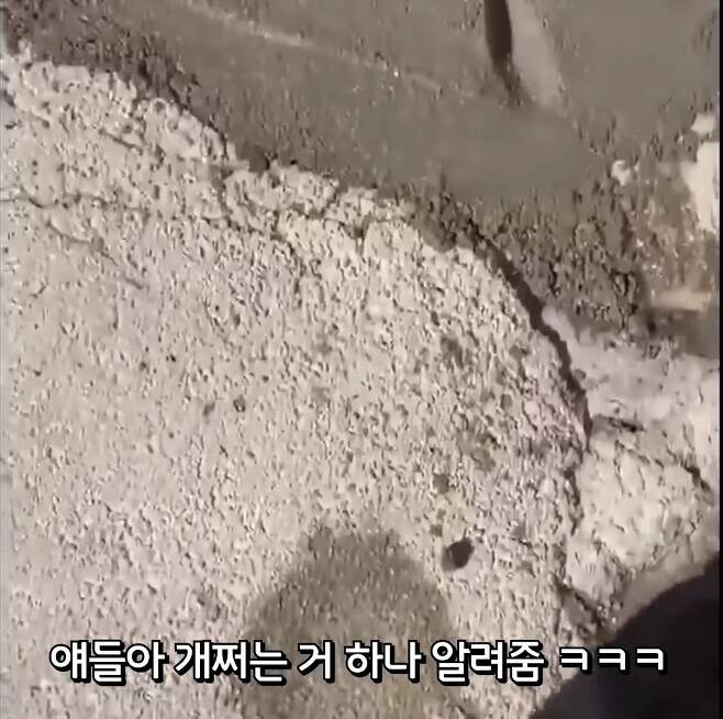 콘크리트에 얼굴 꼴아 박은놈_1.jpg
