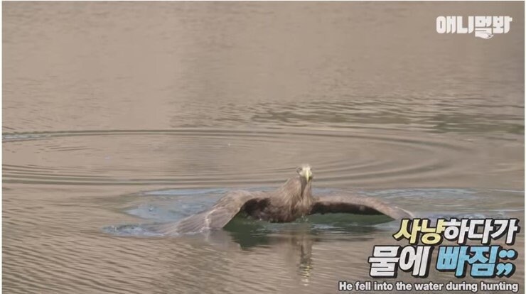 여러 작품에 한번쯤은 등장하는 유형_5.jpg