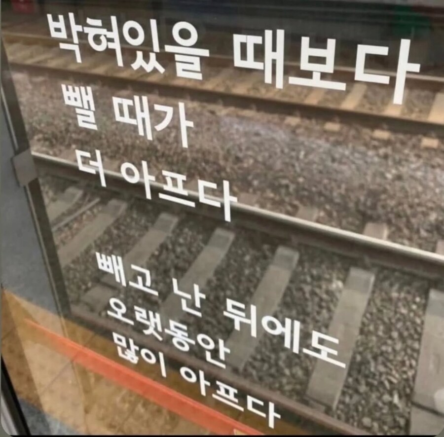 박힐 때 뺄 때_1.jpg