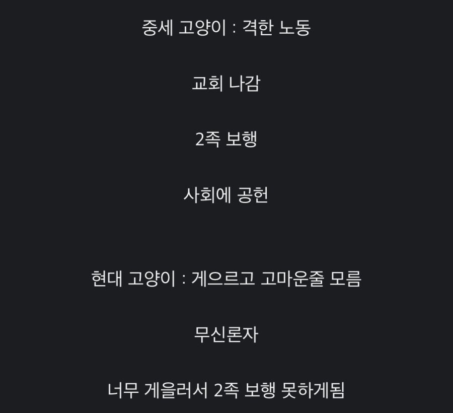중세 고양이와 현대 고양이의 차이_2.jpg