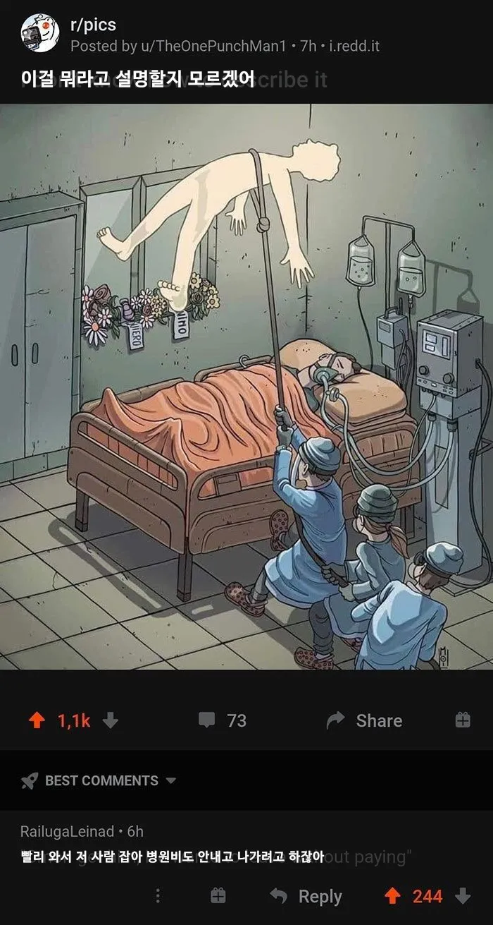 미국에서도 자1살하려면 보험은 들어놓고 해야하는 이유.jpg_2.webp
