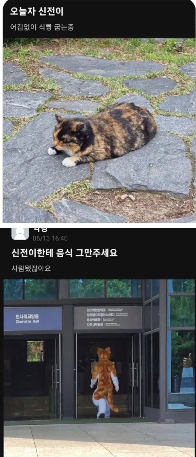 고양이한테 밥주지 마세요_1.jpg