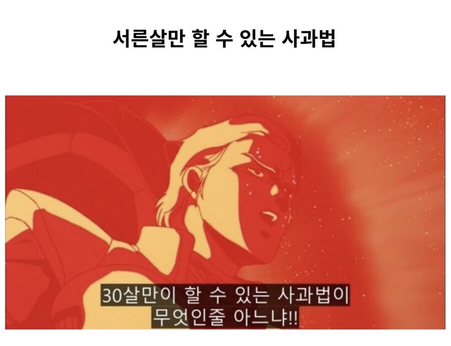 30살만 할수있는 사과법_1.jpg