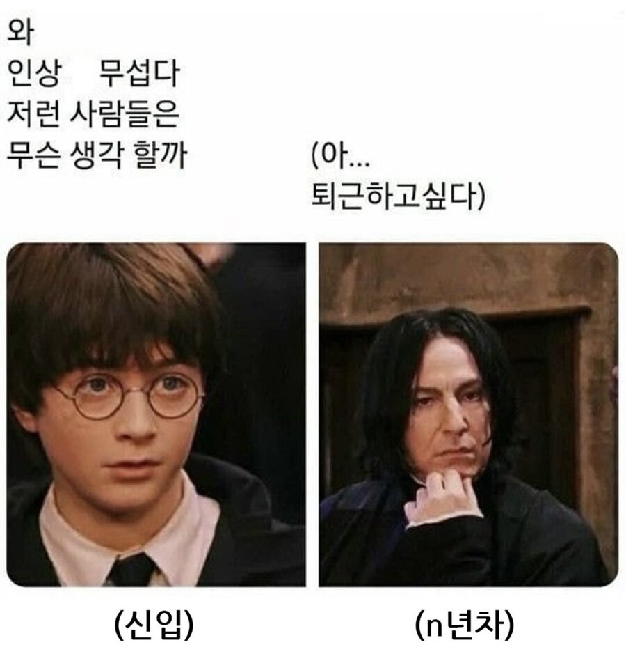 신입과 경력직_1.jpg