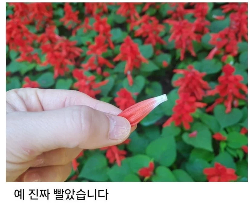 솔직히 꿀 빨았던 8090세대_1.webp