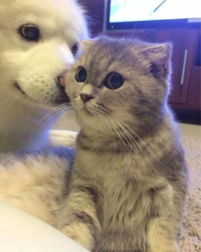 조랭이 떡은 너야_1.jpg