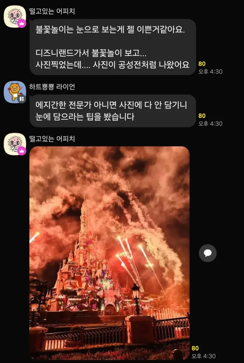 디즈니랜드에서 불꽃놀이를 찍은 관광객.jpg_1.webp