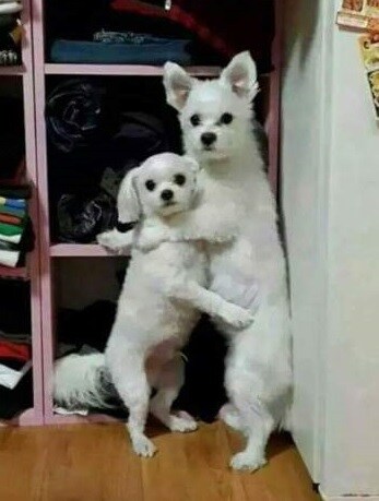 특이한 이름의 은행 공채가 떴다.jpg_3.jpg