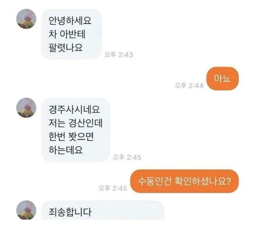 당근에다 자동차는 팔지마라_4.jpg