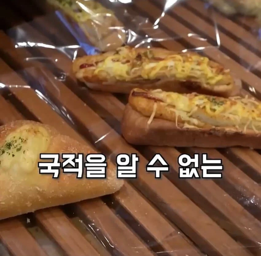 일본여행가서 일본에게 단단히 실망한 독일인.jpg_9.webp