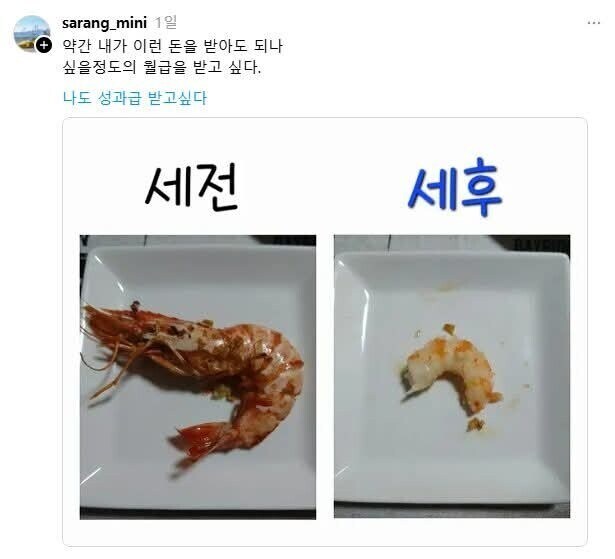 새우로 표현해 본 월급 희망사항.jpg_1.jpg